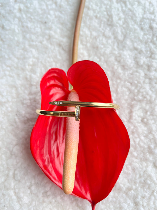 bracelet "Clou du spectacle"